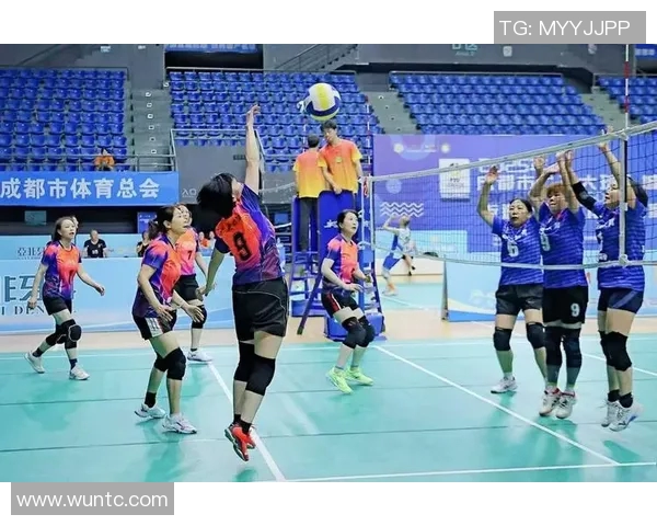 成都排球队灵活性引发热议球迷与专家观点碰撞激烈